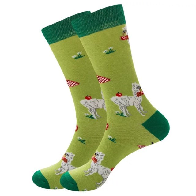 Llama Crazy Socks - Crazy Sock Thursdays